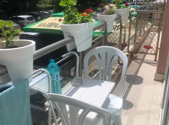 корал * קיטן